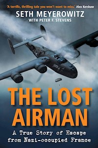 The Lost Airman - Seth Meyerowitz - E-Book