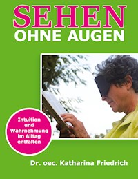 Sehen ohne Augen - Katharina Friedrich - E-Book