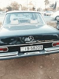 Geile Stuten - Gay S. Hunter - E-Book