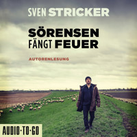 Sörensen fängt Feuer - Sörensen ermittelt, Band 2 (ungekürzt) - Sven Stricker - Hörbuch