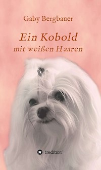 Ein Kobold mit weißen Haaren - Gaby Bergbauer - E-Book