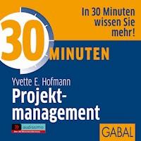 30 Minuten Projektmanagement - Yvette E. Hofmann - Hörbuch