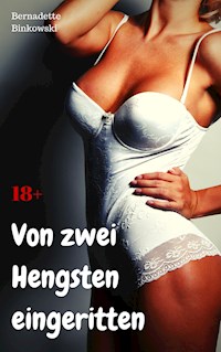 Von zwei Hengsten eingeritten - Bernadette Binkowski - E-Book