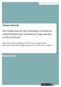 Zur Erklärung des gewalttätigen Verhaltens türkischstämmiger männlicher Jugendlicher in Deutschland - Stefan Schmidt - E-Book
