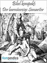 Der barmherzige Samariter - Alessandro Dallmann - E-Book