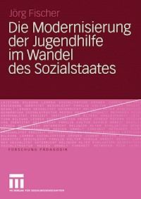 Die Modernisierung der Jugendhilfe im Wandel des Sozialstaates - Jörg Fischer - E-Book