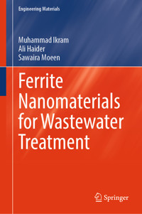 Ferrite Nanomaterials for Wastewater Treatment - Muhammad Ikram - E-Book
