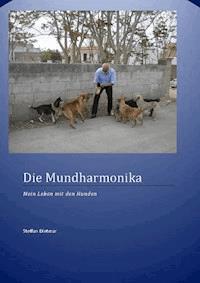 Die Mundharmonika - Dietmar Steffan - E-Book