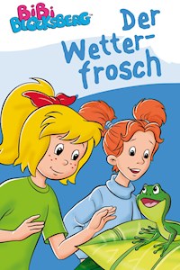 Bibi Blocksberg - Der Wetterfrosch - Stephan Gürtler - E-Book