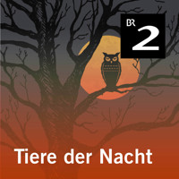 Tiere der Nacht - Silke Wolfrum - Hörbuch