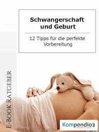 Schwangerschaft und Geburt - Daniela Nelz - E-Book