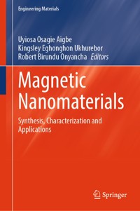 Magnetic Nanomaterials - - E-Book