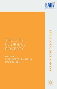 The City in Urban Poverty -  - E-Book