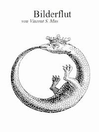 Bilderflut - Vinzent S. Mus - E-Book