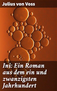 Ini: Ein Roman aus dem ein und zwanzigsten Jahrhundert - Julius von Voß - E-Book