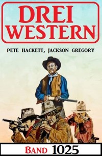 Drei Western Band 1025 - Jackson Gregory - E-Book