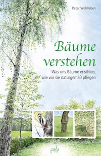 Bäume verstehen - Peter Wohlleben - E-Book