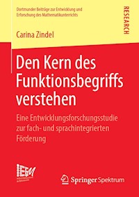 Den Kern des Funktionsbegriffs verstehen - Carina Zindel - E-Book