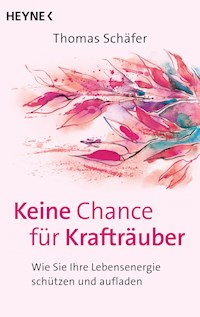 Keine Chance für Krafträuber - Thomas Schäfer - E-Book