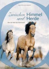 Zwischen Himmel und Herde - Tanja von Salzen-Märkert - E-Book