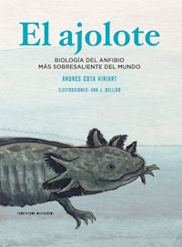El ajolote - Andrés Cota Hiriart - E-Book
