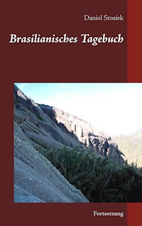 Brasilianisches Tagebuch - Daniel Stosiek - E-Book