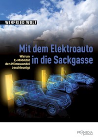 Mit dem Elektroauto in die Sackgasse - Winfried Wolf - E-Book