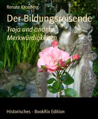 Der Bildungsreisende - Renate Kronberg - E-Book