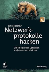 Netzwerkprotokolle hacken - James Forshaw - E-Book