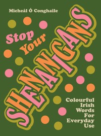 STOP YOUR SHENANIGANS - Micheál Ó Conghaile - E-Book