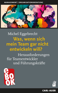 Was, wenn sich mein Team gar nicht entwickeln will? - Michel Eggebrecht - E-Book