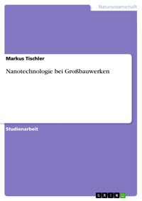 Nanotechnologie bei Großbauwerken - Markus  Tischler - E-Book