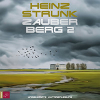 Zauberberg 2 (ungekürzt) - Heinz Strunk - Hörbuch