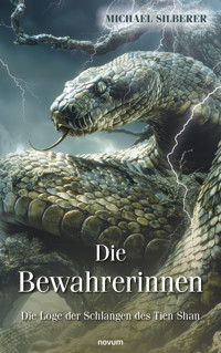 Die Bewahrerinnen - Michael Silberer - E-Book