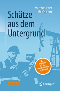 Schätze aus dem Untergrund - Matthias Reich - E-Book