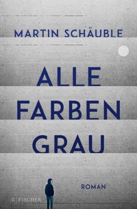 Alle Farben grau - Martin Schäuble - E-Book