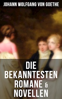 Die bekanntesten Romane & Novellen - Johann Wolfgang von Goethe - E-Book