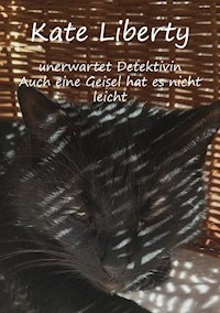 Kate Liberty - Unerwartet Detektivin / Auch eine Geisel hat es nicht leicht - Christine Stutz - E-Book