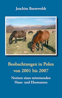 Beobachtungen in Polen - Joachim Barmwoldt - E-Book