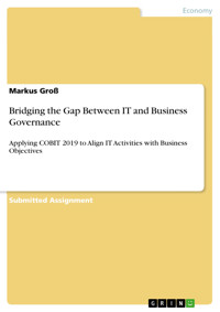 Bridging the Gap Between IT and Business Governance - Markus Groß - E-Book