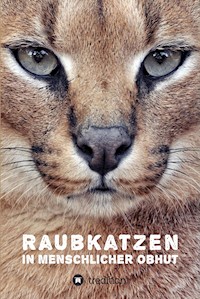 Raubkatzen in menschlicher Obhut - Katerina Mirus - E-Book