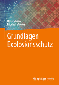 Grundlagen Explosionsschutz - Donato Muro - E-Book