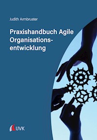 Praxishandbuch Agile Organisationsentwicklung - Judith Armbruster - E-Book