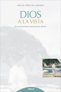 Dios a la vista - Miguel Pérez de Laborda - E-Book