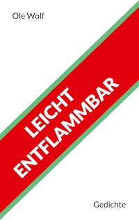 Leicht entflammbar - Ole Wolf - E-Book
