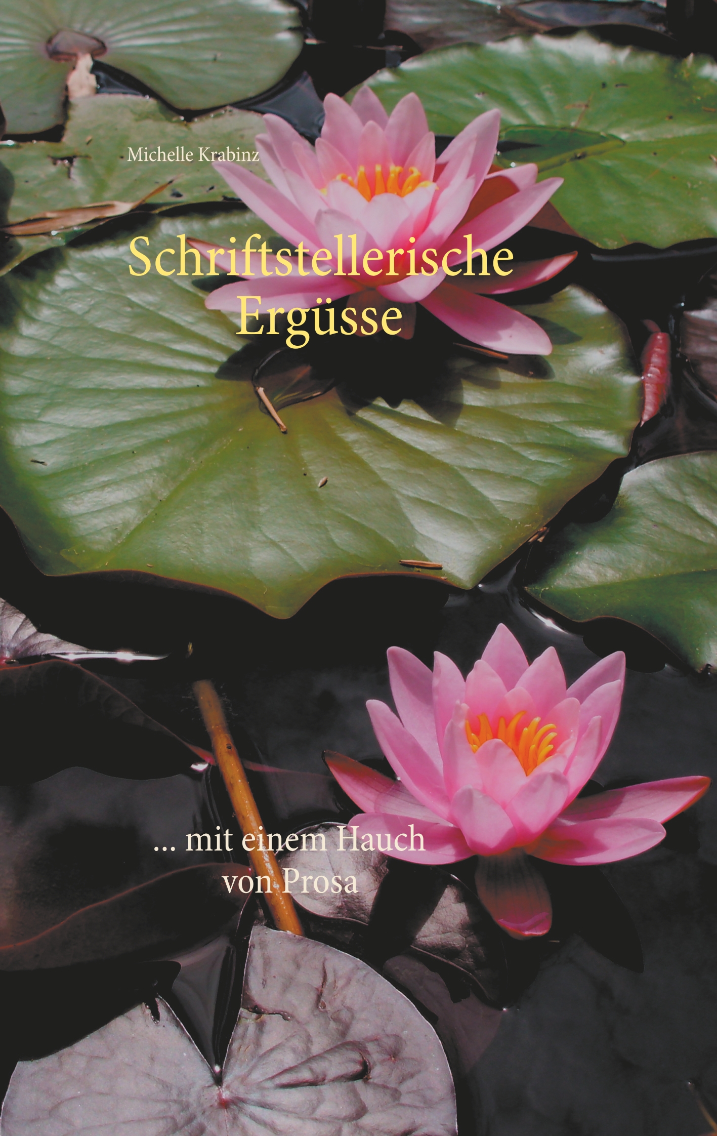 Schriftstellerische Ergüsse - Michelle Krabinz - E-Book