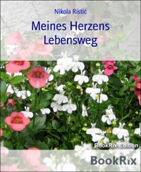Meines Herzens Lebensweg - Nikola Ristić - E-Book