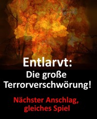 Entlarvt: Die große Terrorverschwörung! - Albert Arcano - E-Book