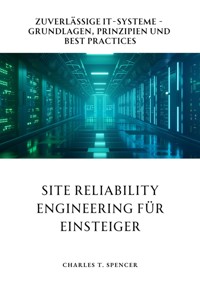 Site Reliability Engineering für Einsteiger - Charles T. Spencer - E-Book