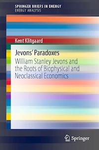 Jevons' Paradoxes - Kent Klitgaard - E-Book